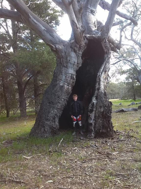 Heatherlie Cottages Halls Gap Luaran gambar