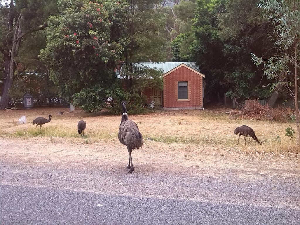 Heatherlie Cottages Halls Gap Luaran gambar
