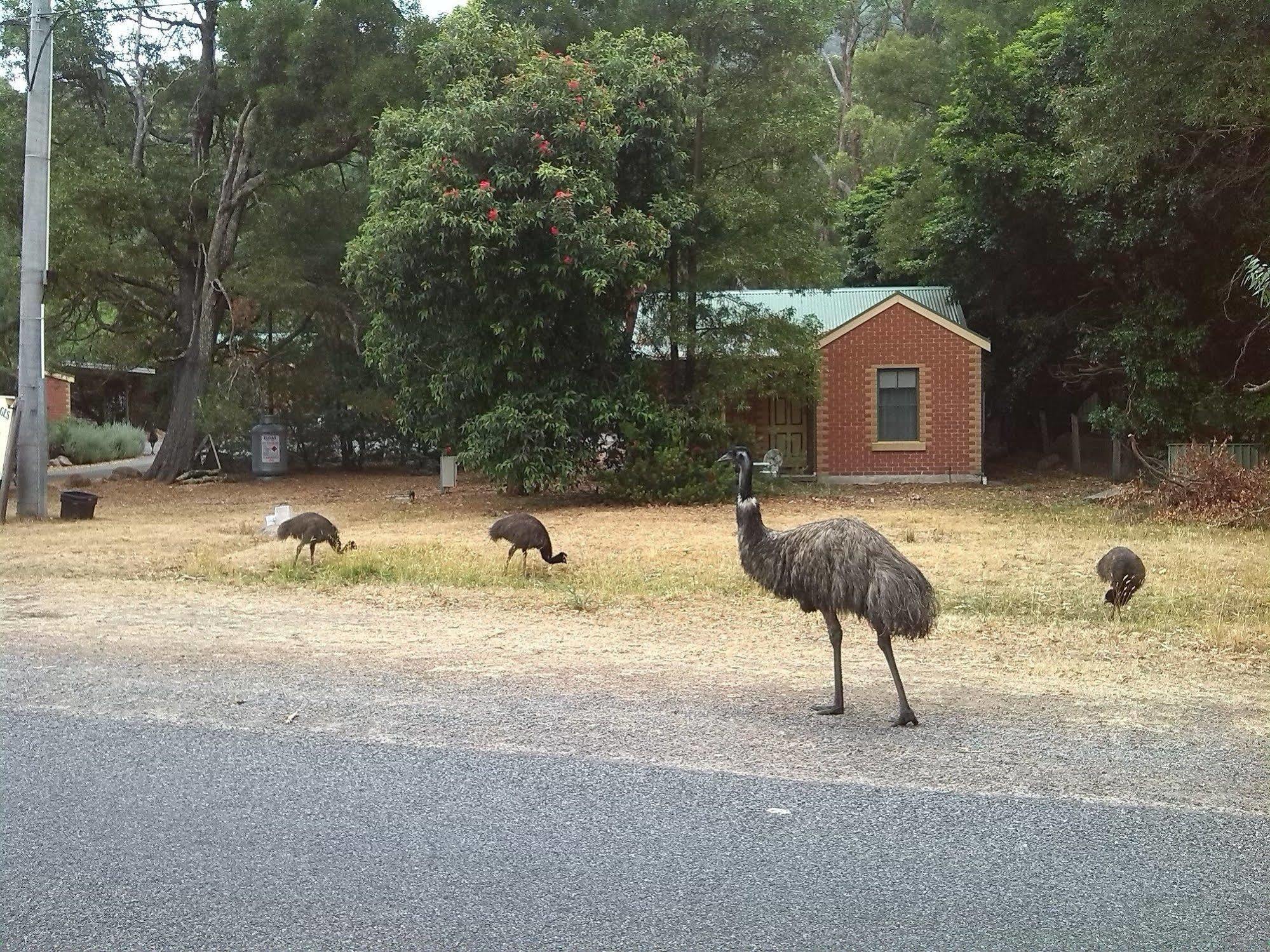 Heatherlie Cottages Halls Gap Luaran gambar